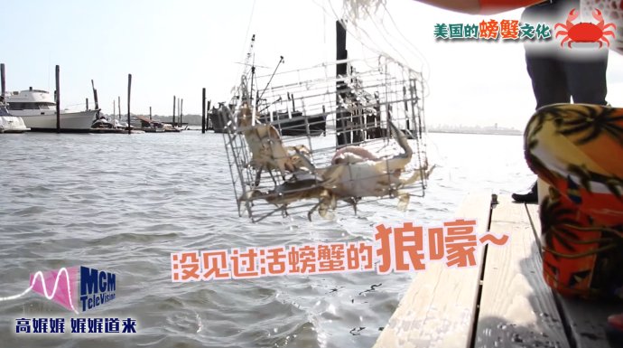 高娓娓-娓娓道来:看美国人周末怎么玩 <wbr>海边螃蟹随手抓(说说美国的螃蟹文化)