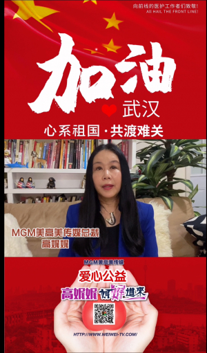 美国华人华侨心系祖国疫情，世界各地友人齐发声--&ldquo;中国加油！&rdquo;