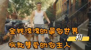 美国人的爱狗症候群-金钱滚滚的遛狗世界和疯批孽爱的狗主人