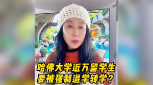 哈佛大学7000留学生将被强制退学转学？留学生和家长该如何应对？