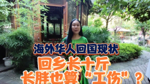 海外华人回国现状&mdash;回乡胖十斤?长胖也算新型工伤？