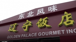 高娓娓：纽约辽宁饭店恭祝广大朋友和客户新春快乐，财源广进！