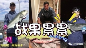 高娓娓：华人在海边成桶钓大鱼的秘密武器，老美看了羡慕嫉妒恨