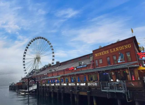 高娓娓：还在往纽约挤？更适宜华人居住的美国城市其实是这些