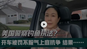 高娓娓：美国警察钓鱼执法？开车被罚不服气，打官司，结果出乎意料