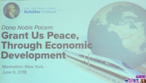 高娓娓：席勒智库旨在促进中美俄印共识合作关系主体研讨会举行