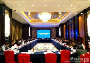 高娓娓：安徽省侨联召开2018世界制造业大会和中国国际徽商大会&ldquo;百家侨企&rdquo;项目对接推进会