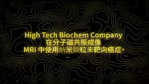 纽约财经投资项目3:High Tech Biochem Company 在分子磁共振成像 MRI 中使用纳米颗粒来靶向癌症