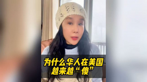 为什么在美国会越来越傻？