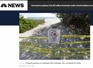 高娓娓疫情日记：&ldquo;病毒，总统，歧视，股市与幕后交易&rdquo;--一个强大国家背后的疑难杂症合辑？