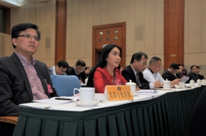 高娓娓：海外代表列席安徽省十三届人大一次会议