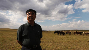 杨雨号:用音乐唤醒记忆,用孝道连接世界