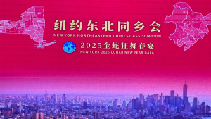高娓娓:2025纽约东北同乡会&ldquo;金蛇狂舞春宴&rdquo;圆满举行