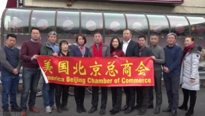 高娓娓：美国北京总商会恭祝全球华商新春快乐，猪年大吉！