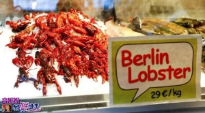 高娓娓：小龙虾泛滥？是时候表演真正的技术了！