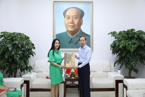 高娓娓：通过文化交流 推动中美关系健康发展