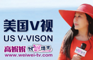 美国V视《高娓娓 娓娓道来》、《高娓娓国际访谈直播》