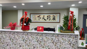 高娓娓:安心增高益智中心纽约布鲁克林盛大开业 郑永佳众议员颁发嘉奖状并致辞