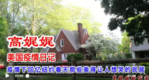 高娓娓疫情日记:疫情下怀念纽约春天那些美得让人想哭的民居;被病毒缠绕的纽约长岛纳苏郡