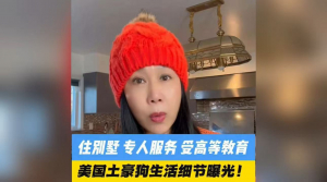 美国土豪狗生活细节曝光