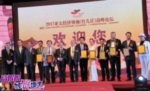 高娓娓:(2) 2017亚太经济领袖（台儿庄）高峰论坛大咖时装晚宴