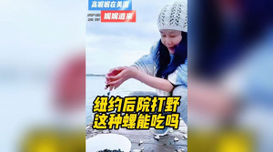 纽约小岛后院打野，这种螺能吃吗？