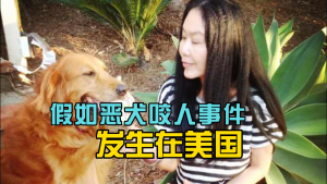 假如恶犬咬人事件发生在美国