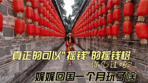 真正的可以"摇钱"的摇钱树你见过吗?娓娓这一个月回国玩了啥