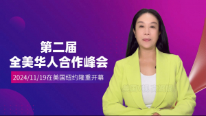 高娓娓:第二届全美华人合作峰会在美国纽约隆重开幕！峰会由美国华人华侨联合总会主办，吸引了众多嘉宾和业内人士的参与【视频+图+文 综合报道】美国V视】