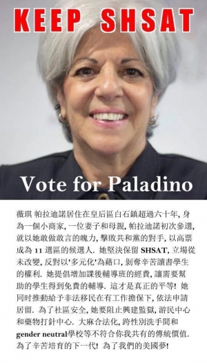 高娓娓：Vote for Vickie Paladino&mdash;&mdash;访问纽约州参议院候选人Vickie Paladino
