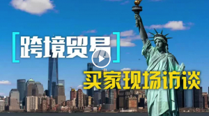 高娓娓：&ldquo;跨境贸易&rdquo;买家现场访谈第一季