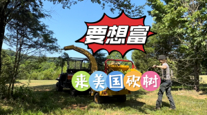 要想富？来美国砍树！薪水包你满意