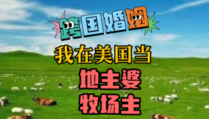闺蜜群聊跨国婚姻-听华裔小姐姐讲述在美国当地主婆、牧场主的故事