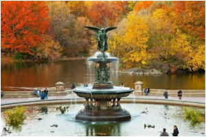 高娓娓：从高空看纽约中央公园，才知道美国城建规划真的很有远见！