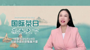 美国V视：2023&ldquo;国际茶日 茶和天下&rdquo;主题活动于5月19日在联合国总部隆重开幕！