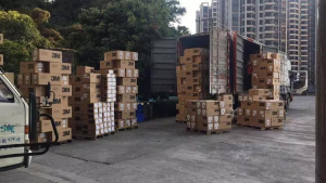 高娓娓：纽约华人华侨在行动，心系祖国，共抗疫情。