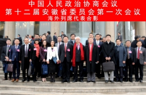 高娓娓：列席安徽省政协十二届一次会议